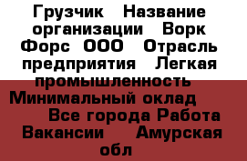 Грузчик › Название организации ­ Ворк Форс, ООО › Отрасль предприятия ­ Легкая промышленность › Минимальный оклад ­ 24 000 - Все города Работа » Вакансии   . Амурская обл.